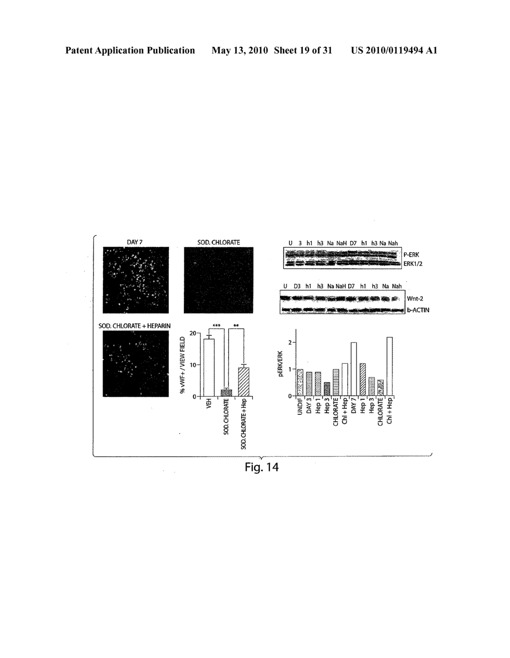 METHODS AND COMPOSITIONS RELATED TO MODULATING THE EXTRACELLULAR STEM CELL ENVIRONMENT - diagram, schematic, and image 20