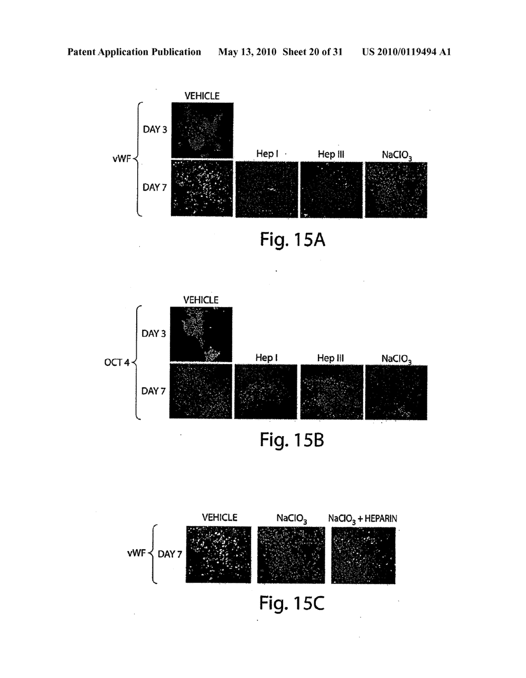 METHODS AND COMPOSITIONS RELATED TO MODULATING THE EXTRACELLULAR STEM CELL ENVIRONMENT - diagram, schematic, and image 21