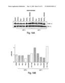 METHODS AND COMPOSITIONS RELATED TO MODULATING THE EXTRACELLULAR STEM CELL ENVIRONMENT diagram and image