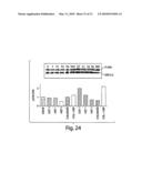 METHODS AND COMPOSITIONS RELATED TO MODULATING THE EXTRACELLULAR STEM CELL ENVIRONMENT diagram and image