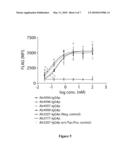 Effectors of PAR-2 Activation and Their Use in the Modulation of Inflammation diagram and image