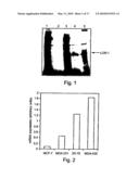 PHARMACEUTICAL COMPOSITIONS AND METHODS USEFUL FOR MODULATING ANGIOGENESIS, INHIBITING METASTASIS AND TUMOR FIBROSIS, AND ASSESSING THE MALIGNANCY OF COLON CANCER TUMORS diagram and image