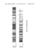 PHARMACEUTICAL COMPOSITIONS AND METHODS USEFUL FOR MODULATING ANGIOGENESIS, INHIBITING METASTASIS AND TUMOR FIBROSIS, AND ASSESSING THE MALIGNANCY OF COLON CANCER TUMORS diagram and image