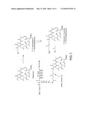 ELASTIN-LIKE POLYMER DELIVERY VEHICLES diagram and image