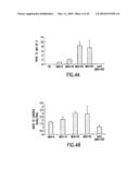 CHIMERIC OSTEOGENIC FACTOR CONTAINING PROTEINS CAPABLE OF INCREASED NUCLEAR LOCALIZATION AND METHODS OF USE THEREOF diagram and image