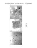 Synthesis of pH-sensitive, Acid-Stable Metal-Binding Nanoparticles diagram and image