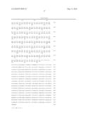 LACTOSE-POSITIVE RECOMBINANT LEUCONOSTOC STRAIN diagram and image