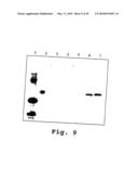 EXPRESSION OF HUMAN MILK PROTEINS IN TRANSGENIC PLANTS diagram and image