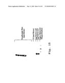 EXPRESSION OF HUMAN MILK PROTEINS IN TRANSGENIC PLANTS diagram and image