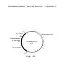 EXPRESSION OF HUMAN MILK PROTEINS IN TRANSGENIC PLANTS diagram and image