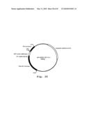 EXPRESSION OF HUMAN MILK PROTEINS IN TRANSGENIC PLANTS diagram and image