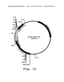 EXPRESSION OF HUMAN MILK PROTEINS IN TRANSGENIC PLANTS diagram and image