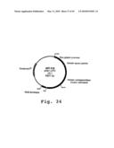 EXPRESSION OF HUMAN MILK PROTEINS IN TRANSGENIC PLANTS diagram and image