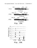 EXPRESSION OF HUMAN MILK PROTEINS IN TRANSGENIC PLANTS diagram and image