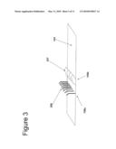 RAPID IMMUNE CHROMATOGRAPHIC DETECTION BY AMPLIFICATION OF THE COLLOIDAL GOLD SIGNAL diagram and image