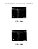 Integrated Active Flux Microfluidic Devices and Methods diagram and image