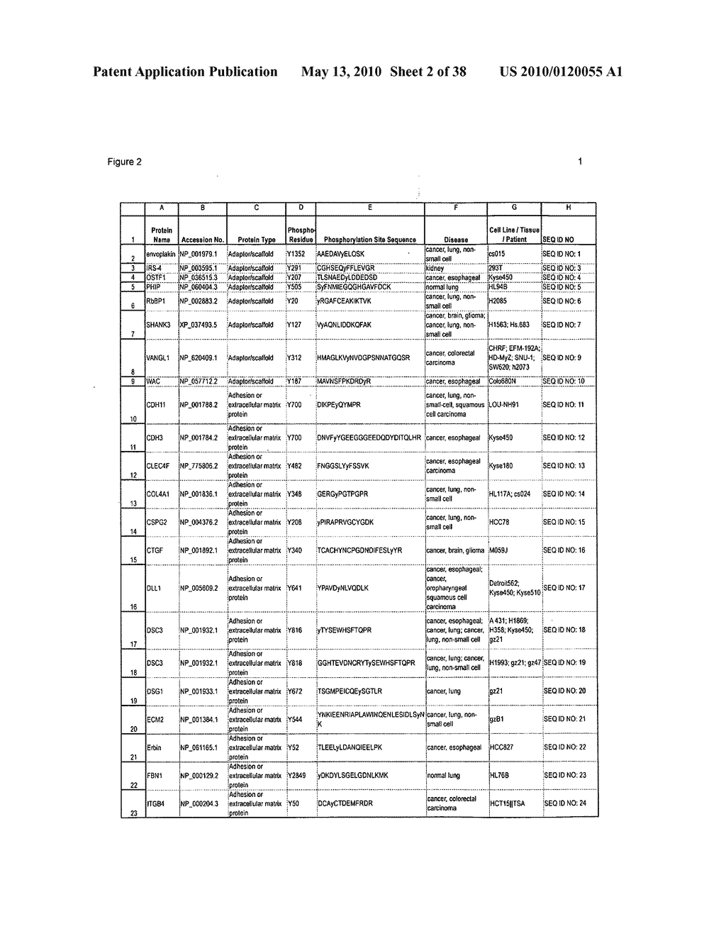 TYROSINE PHOSPHORYLATION SITES - diagram, schematic, and image 03