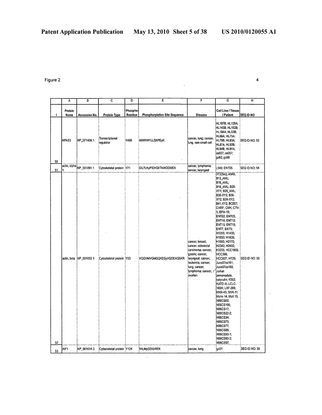 TYROSINE PHOSPHORYLATION SITES - diagram, schematic, and image 06