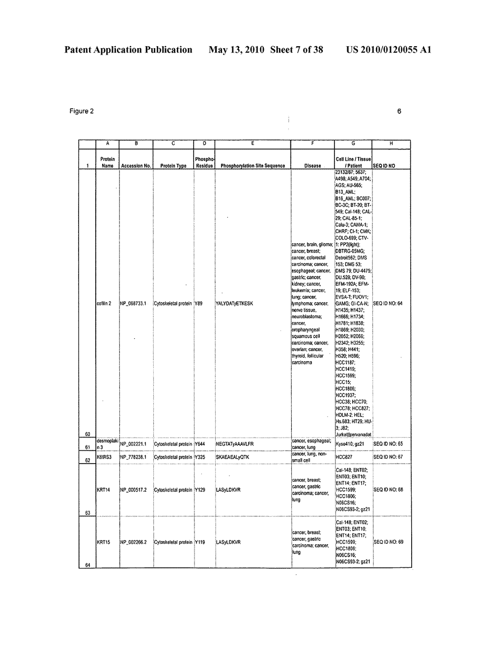 TYROSINE PHOSPHORYLATION SITES - diagram, schematic, and image 08