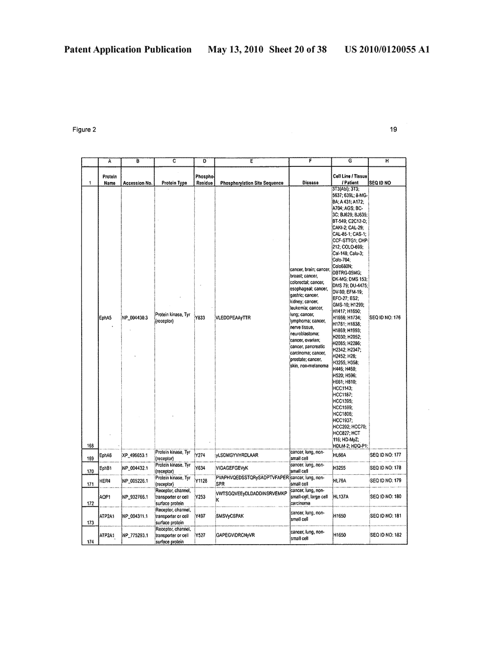 TYROSINE PHOSPHORYLATION SITES - diagram, schematic, and image 21