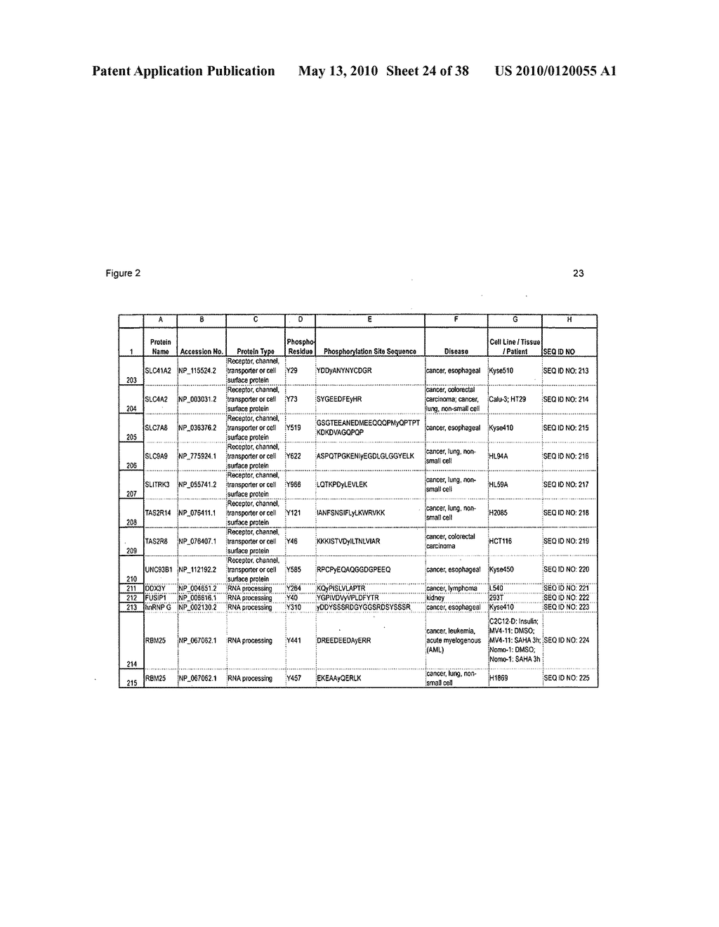 TYROSINE PHOSPHORYLATION SITES - diagram, schematic, and image 25