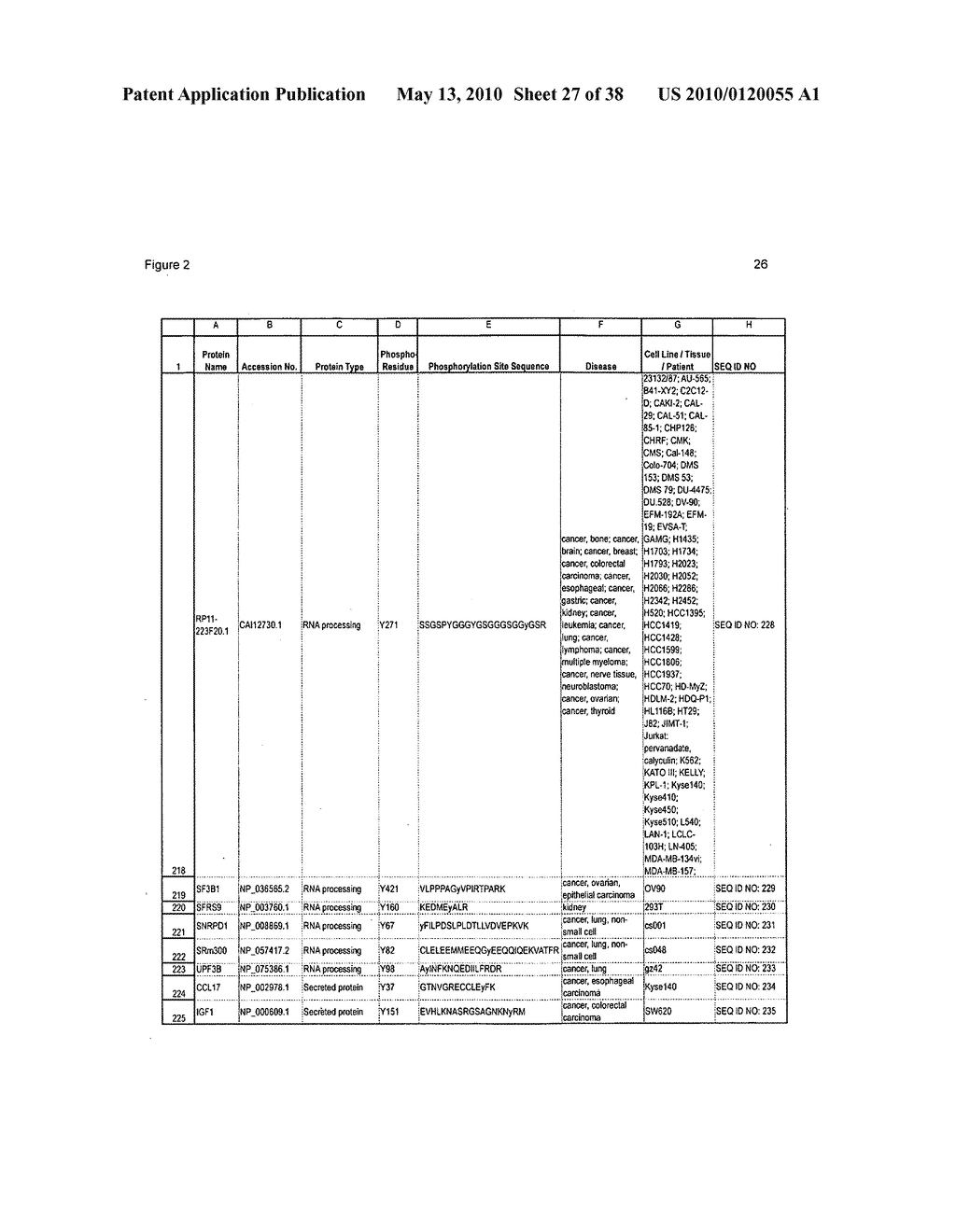 TYROSINE PHOSPHORYLATION SITES - diagram, schematic, and image 28