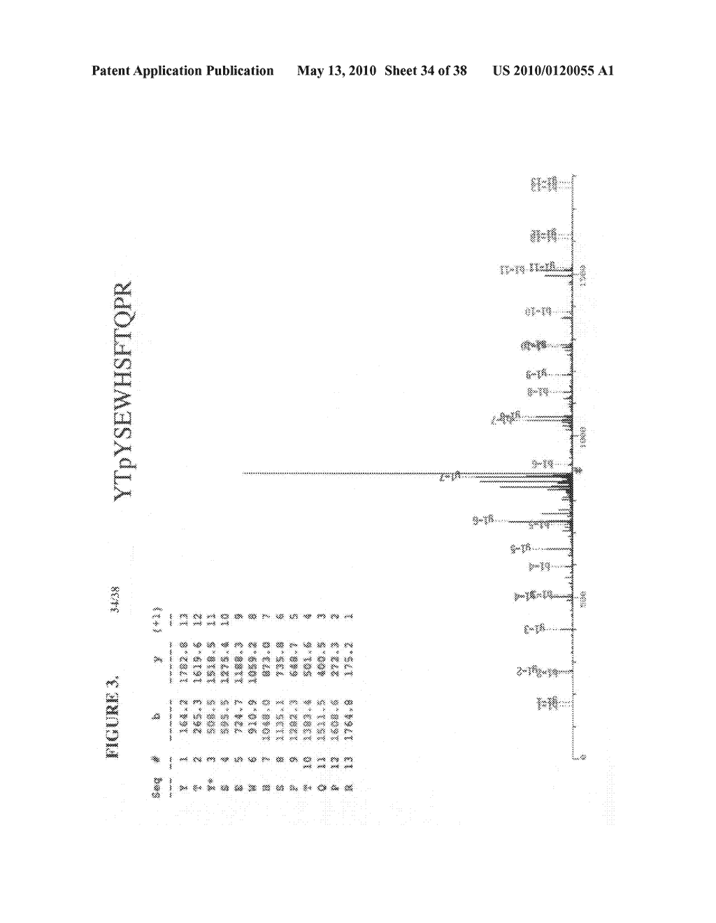 TYROSINE PHOSPHORYLATION SITES - diagram, schematic, and image 35