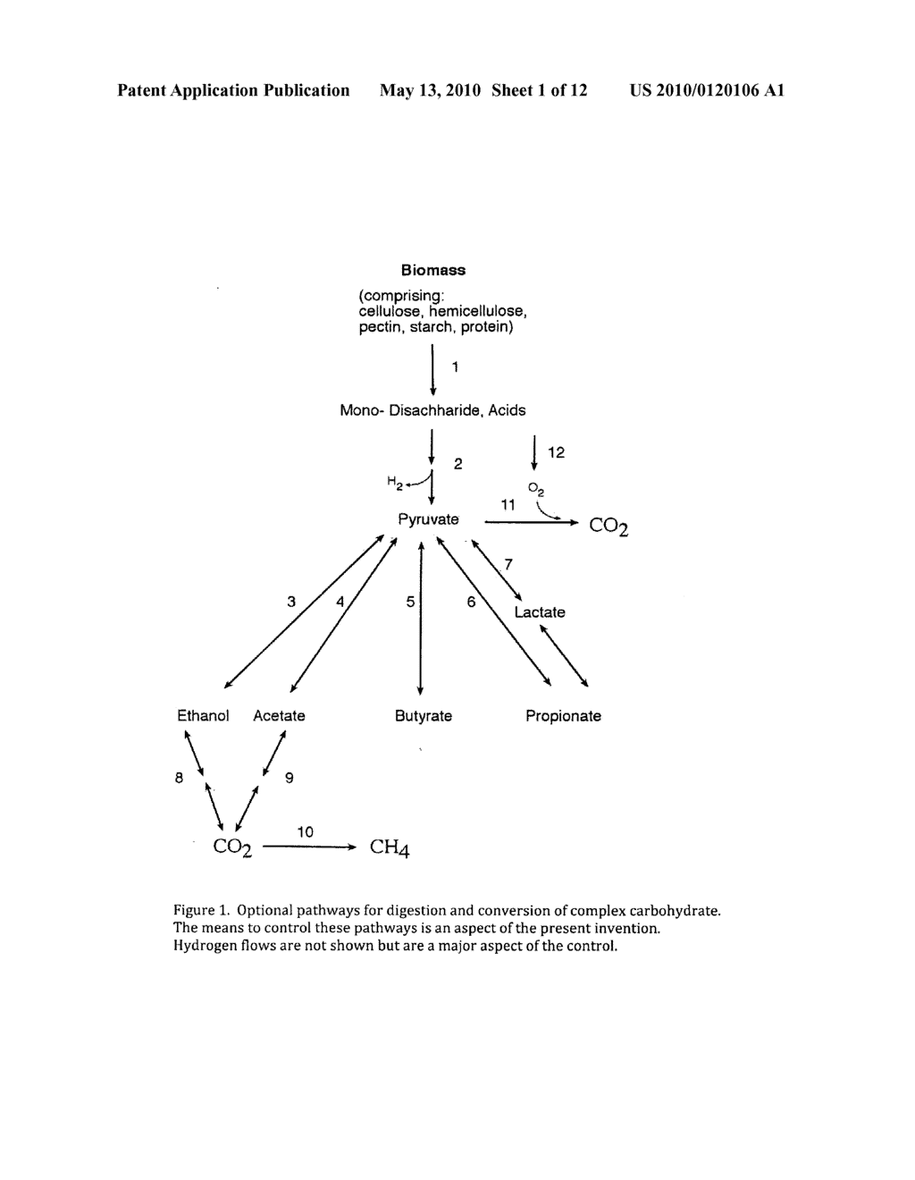 Process for producing lower alkyl alcohols from cellulosic biomass using microorganisms - diagram, schematic, and image 02