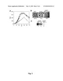 MRNA Interferase from Myxococcus Xanthus diagram and image