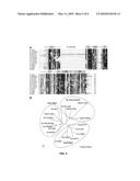 MRNA Interferase from Myxococcus Xanthus diagram and image