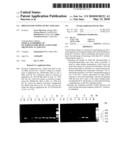 Process for typing of HCV isolates diagram and image