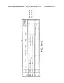 Process for typing of HCV isolates diagram and image