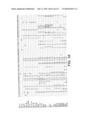 Process for typing of HCV isolates diagram and image