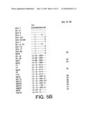 Process for typing of HCV isolates diagram and image