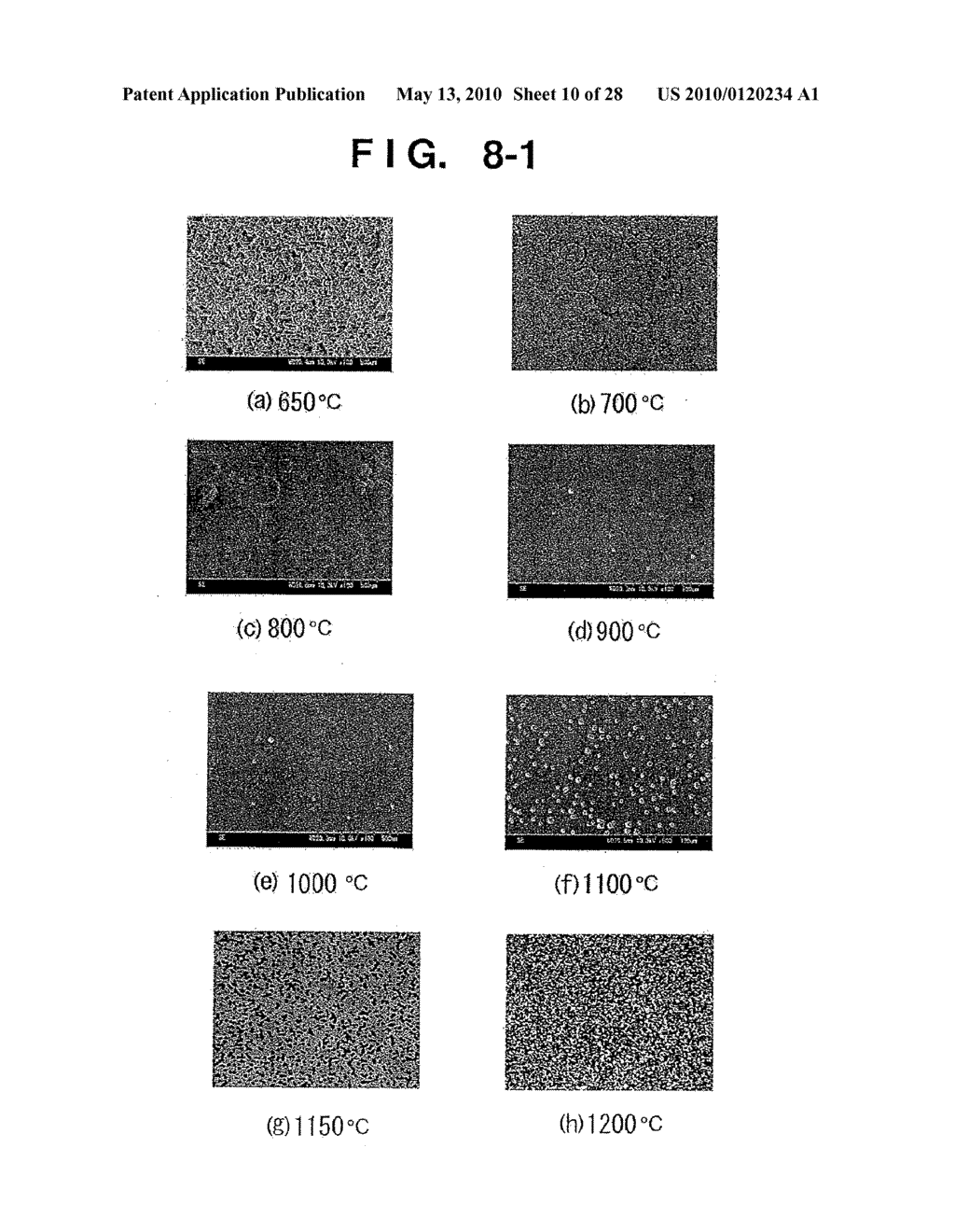 METHOD FOR GROWTH OF GaN SINGLE CRYSTAL, METHOD FOR PREPARATION OF GaN SUBSTRATE, PROCESS FOR PRODUCING GaN-BASED ELEMENT, AND GaN-BASED ELEMENT - diagram, schematic, and image 11