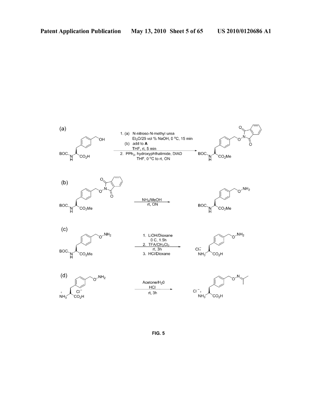 COMPOSITIONS CONTAINING, METHODS INVOLVING, AND USES OF NON-NATURAL AMINO ACIDS AND POLYPEPTIDES - diagram, schematic, and image 06