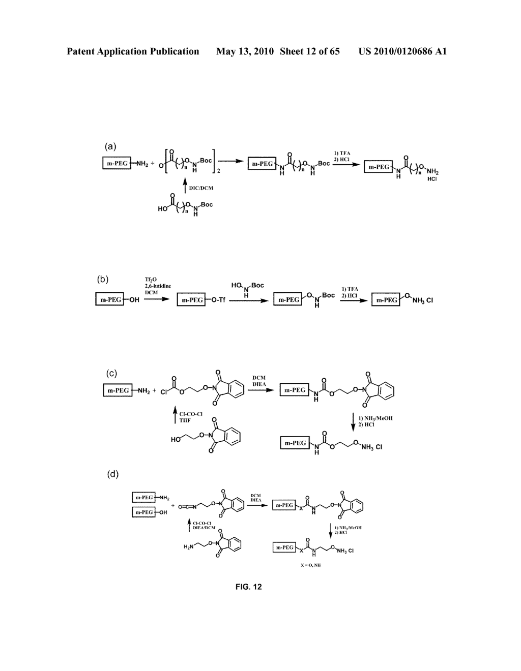COMPOSITIONS CONTAINING, METHODS INVOLVING, AND USES OF NON-NATURAL AMINO ACIDS AND POLYPEPTIDES - diagram, schematic, and image 13