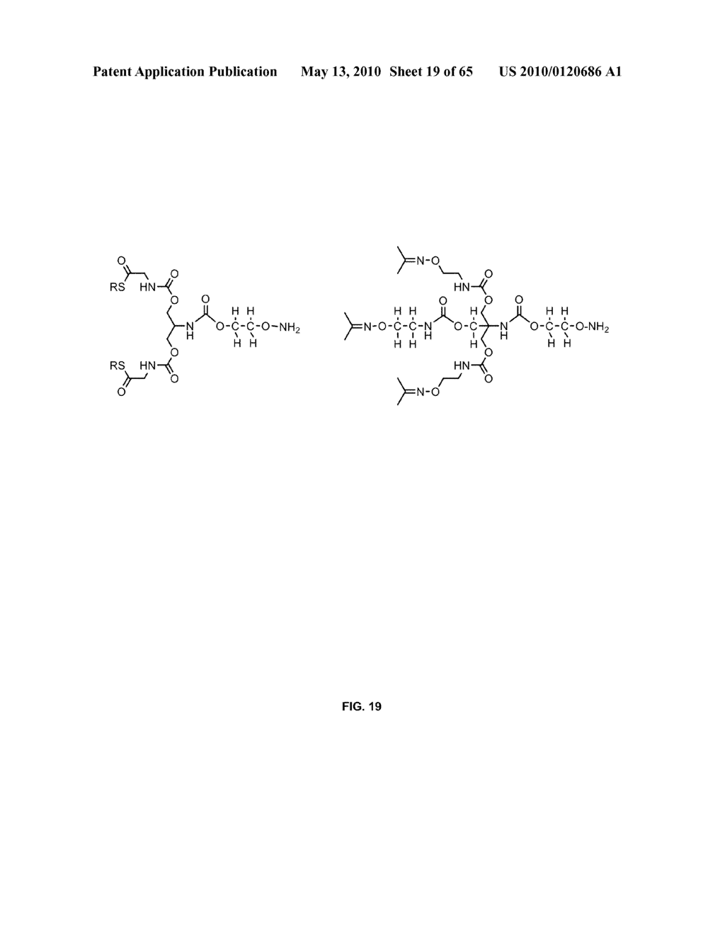 COMPOSITIONS CONTAINING, METHODS INVOLVING, AND USES OF NON-NATURAL AMINO ACIDS AND POLYPEPTIDES - diagram, schematic, and image 20