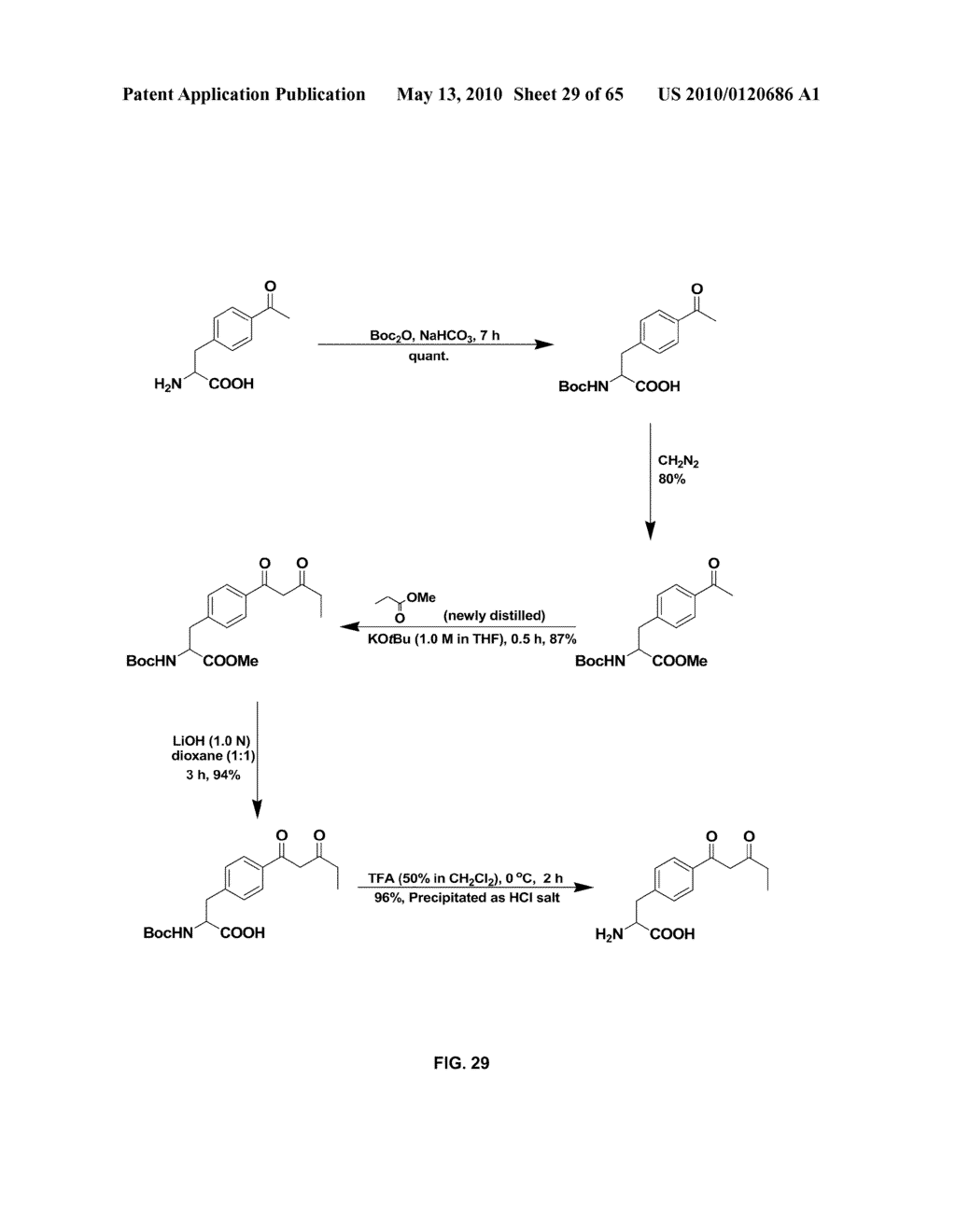 COMPOSITIONS CONTAINING, METHODS INVOLVING, AND USES OF NON-NATURAL AMINO ACIDS AND POLYPEPTIDES - diagram, schematic, and image 30
