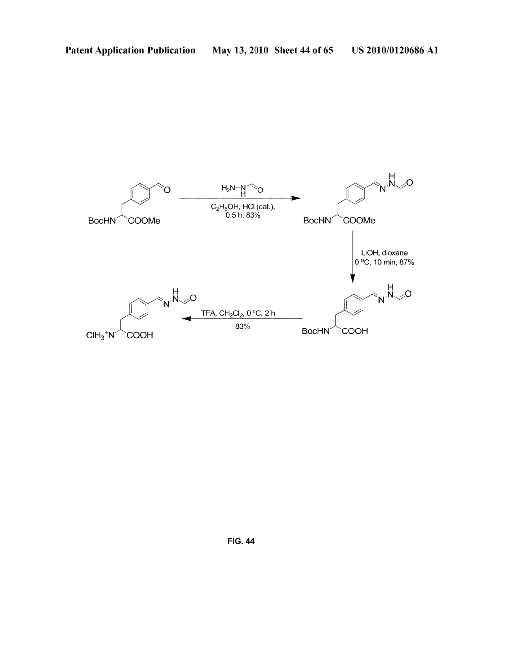 COMPOSITIONS CONTAINING, METHODS INVOLVING, AND USES OF NON-NATURAL AMINO ACIDS AND POLYPEPTIDES - diagram, schematic, and image 45