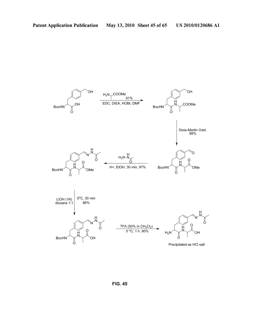 COMPOSITIONS CONTAINING, METHODS INVOLVING, AND USES OF NON-NATURAL AMINO ACIDS AND POLYPEPTIDES - diagram, schematic, and image 46
