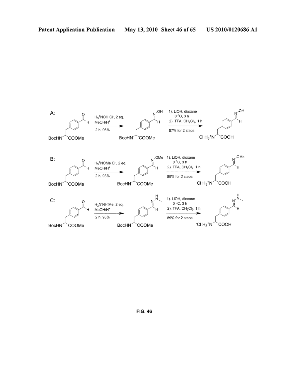 COMPOSITIONS CONTAINING, METHODS INVOLVING, AND USES OF NON-NATURAL AMINO ACIDS AND POLYPEPTIDES - diagram, schematic, and image 47