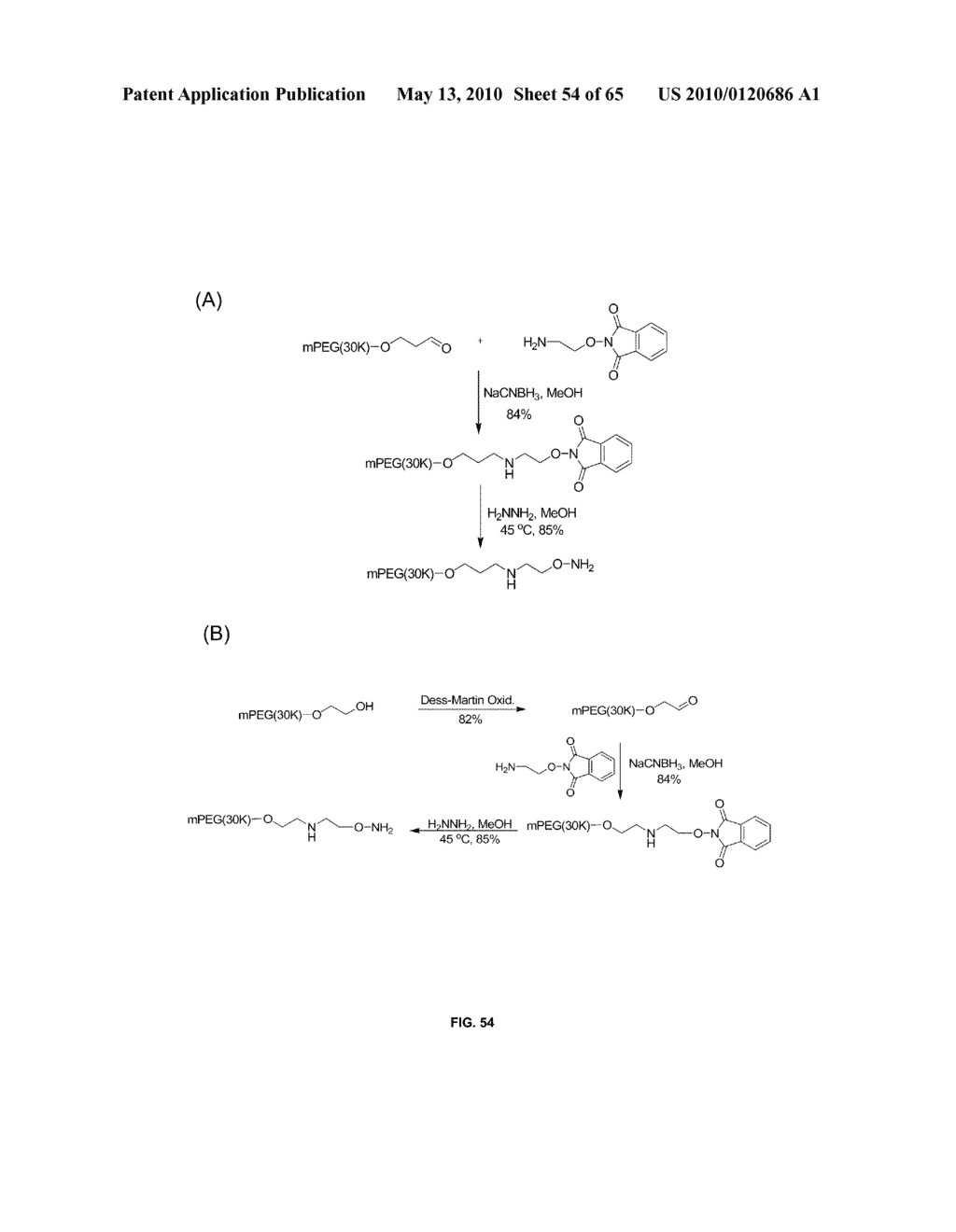 COMPOSITIONS CONTAINING, METHODS INVOLVING, AND USES OF NON-NATURAL AMINO ACIDS AND POLYPEPTIDES - diagram, schematic, and image 55