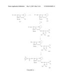 METHOD FOR SYNTHESIZING KPV TRIPEPTIDE DIAMIDE DERIVATES diagram and image