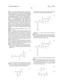 METHOD FOR SYNTHESIZING KPV TRIPEPTIDE DIAMIDE DERIVATES diagram and image