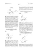 KINASE INHIBITORS diagram and image