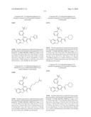 KINASE INHIBITORS diagram and image