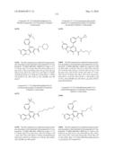 KINASE INHIBITORS diagram and image