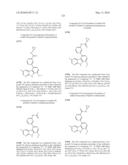 KINASE INHIBITORS diagram and image