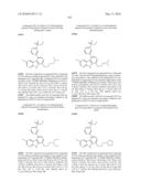 KINASE INHIBITORS diagram and image